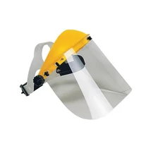 HOMLOKPÁNT ARCVÉDŐHÖZ