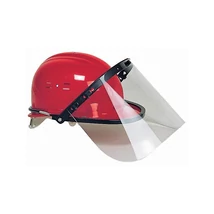 SISAKPÁNT ARCVÉDŐHÖZ